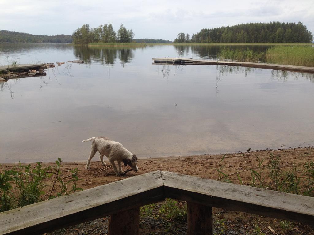 Nestorinranta Resort Lintusalo Екстериор снимка